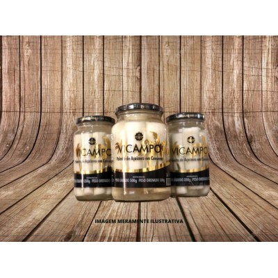 PALMITO EM CONSERVA - VICAMPO - 300g DE ACAIZEIRO